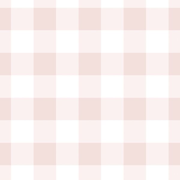 Large Gingham in Blush