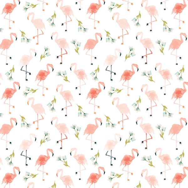 Little Flamingos in Paradise