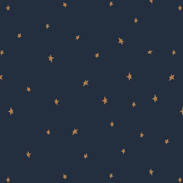 Starlight in Dark Navy