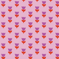 Tulip Tango in Pink