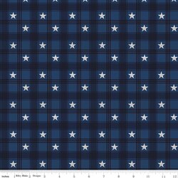 Plaid in Blue