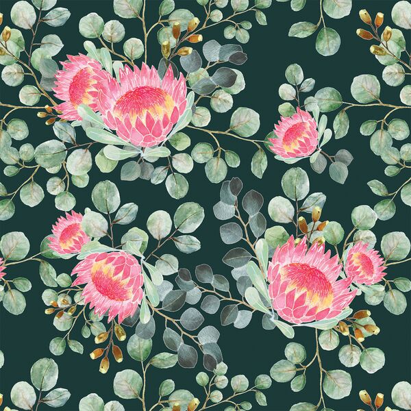 Protea in Deep Glade