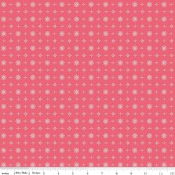 Lincoln in Tea Rose