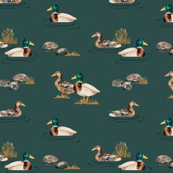 Waterfowl in Teal