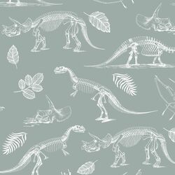 Fossils in Eucalyptus