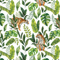 Jungle Tiger in White