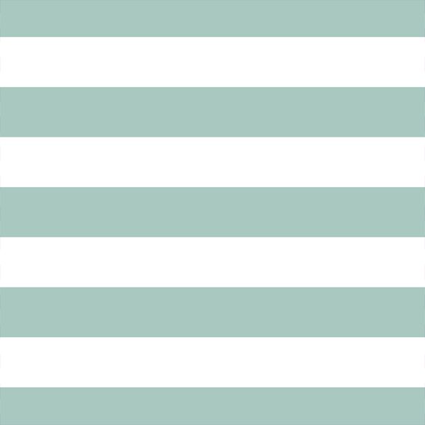 Horizontal Play Stripe in Aspen