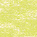 Moonscape in Endive