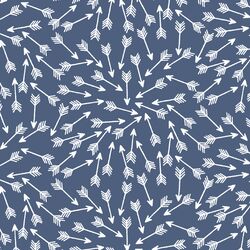 Arrows in Midnight