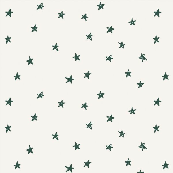 Stars in Pine Needle on Bone