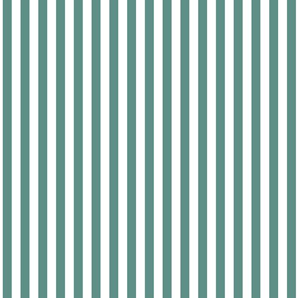 Dress Stripe in Agate