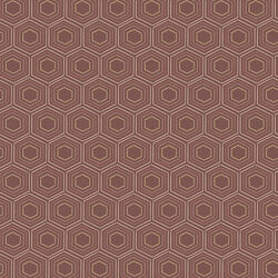Honeycomb Dreams in Cocoa
