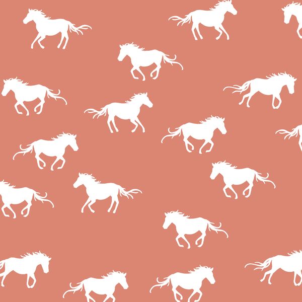 Horse Silhouette in Desert Rose