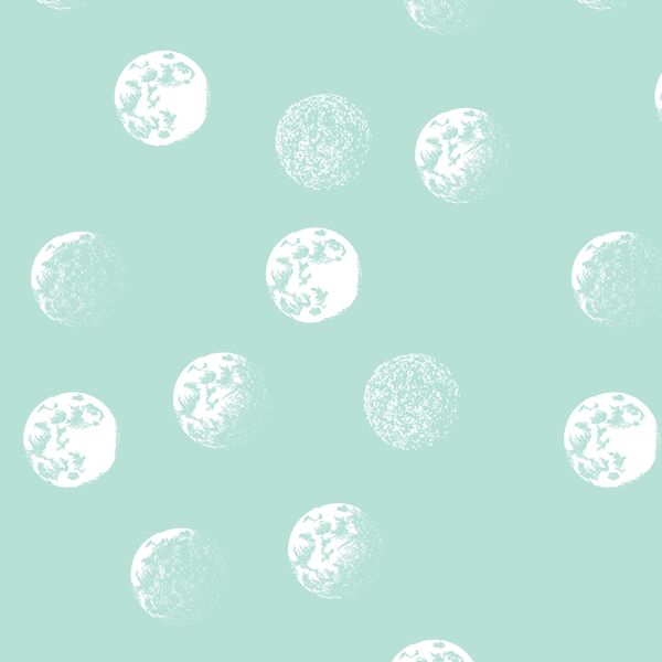 Moondance in Aloe