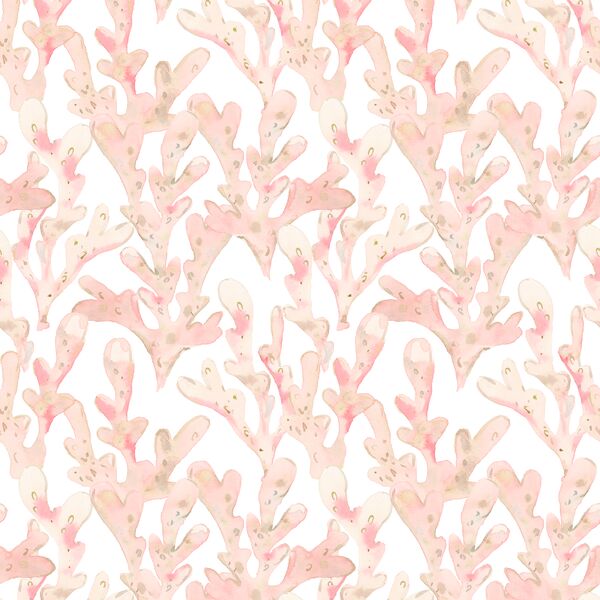 Ocean Garden in Coral