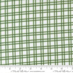 Plaid in Light Green