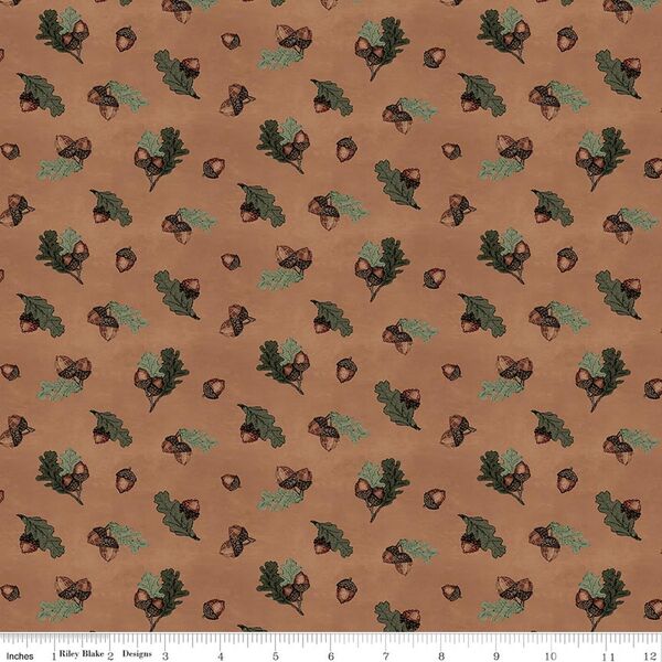 Acorns in Brown