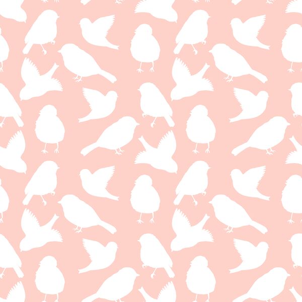 Spring Bird Silhouette in Pink Blossom