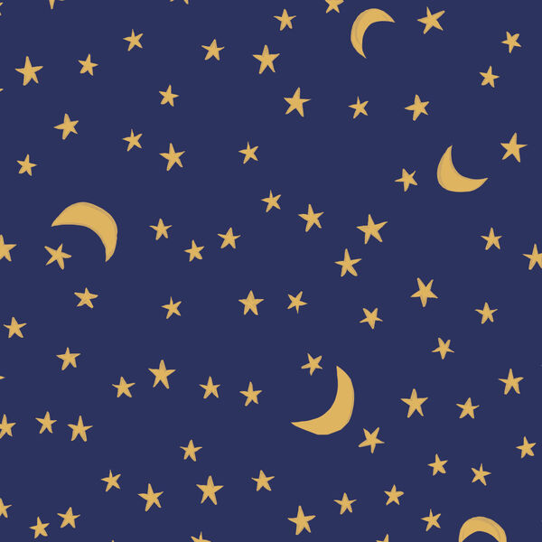 Moonlit Night in Navy