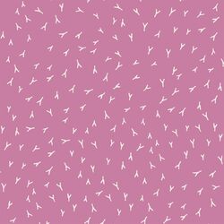 Tracks in Raspberry