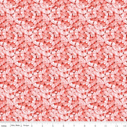 Phlox Petals in Pink