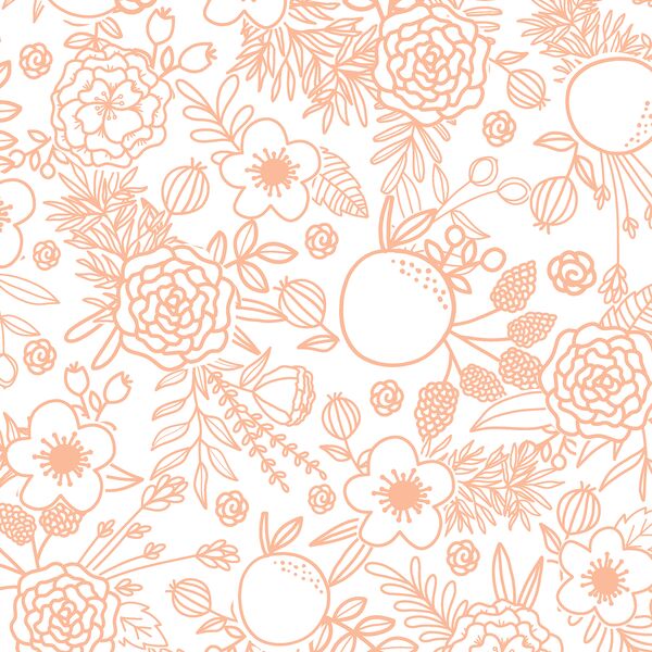Floral Linework in Bright Apricot