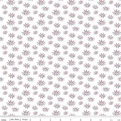 Fireworks in White