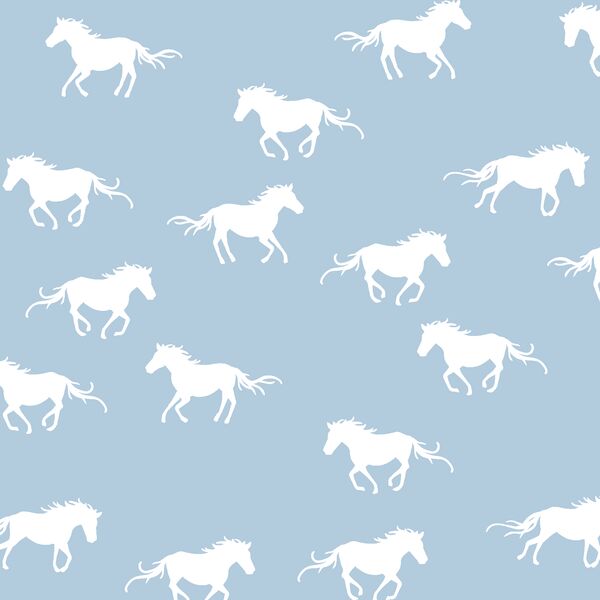 Horse Silhouette in Sky