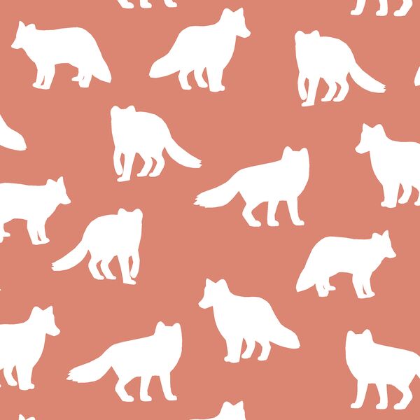 Fox Silhouette in Desert Rose