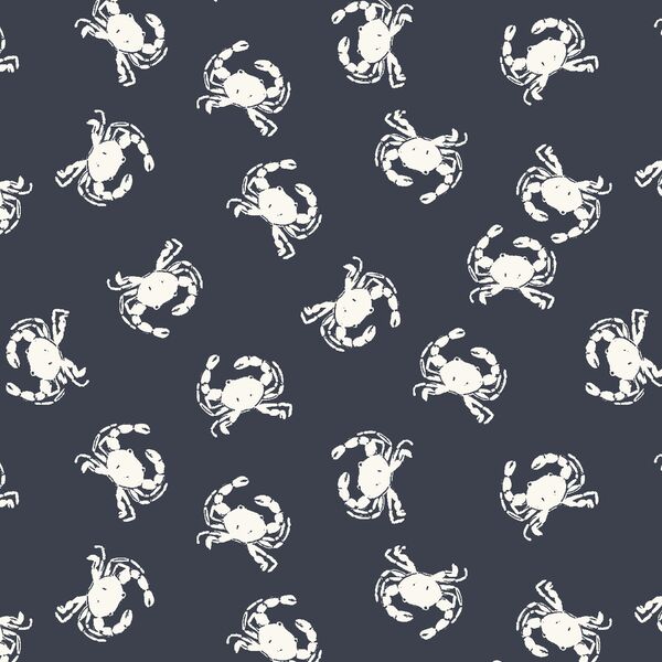 Crabs in Space Navy