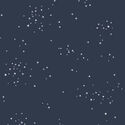 Freckles in Evening Sky