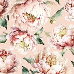 Large Peony Lane in Shell