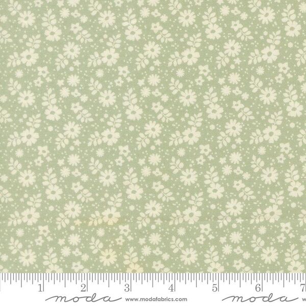 Petaline in Sage