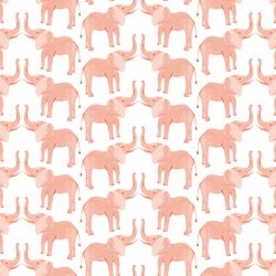 Tembo in Protea