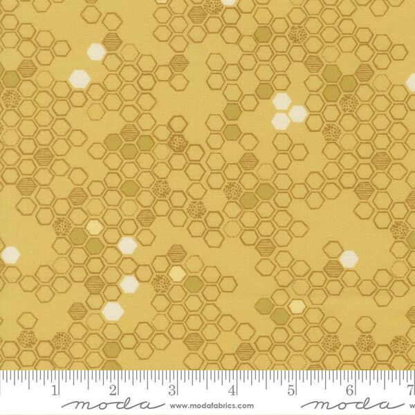 Honeycomb in Honey