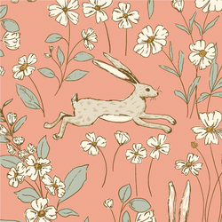 Large Hares in Coral