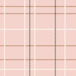 Tartan in Blush