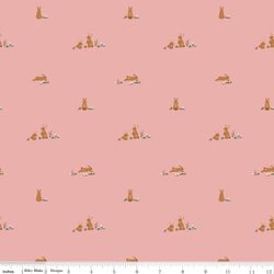 Flopsy Fields in Pink