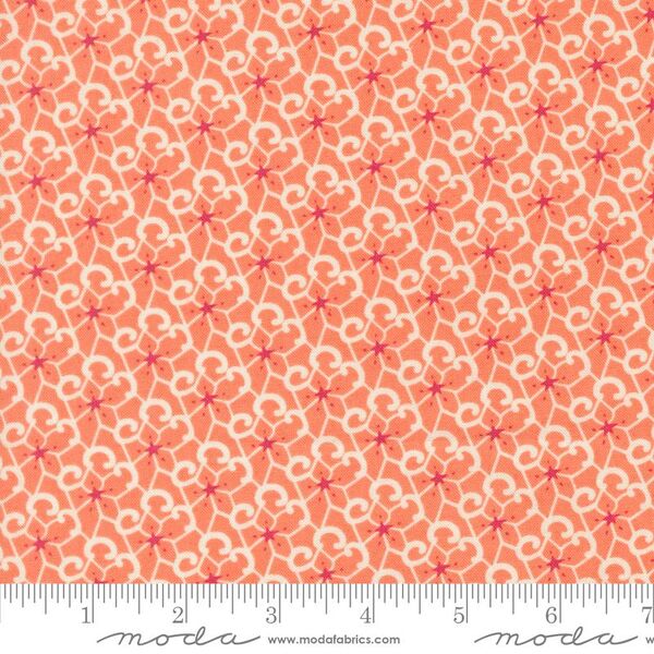 Mistral in Tea Rose