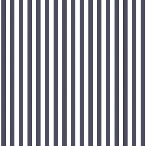 Dress Stripe in Ink