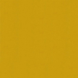 Bella Solids in Zest