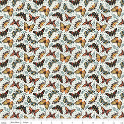 Moths in Cloud