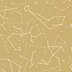 Star Charts in Golden Canyon