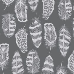 Plume in Charcoal