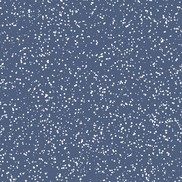 Stardust in Midnight