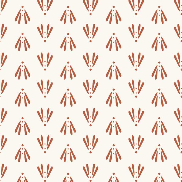 Moth Geo in Spice
