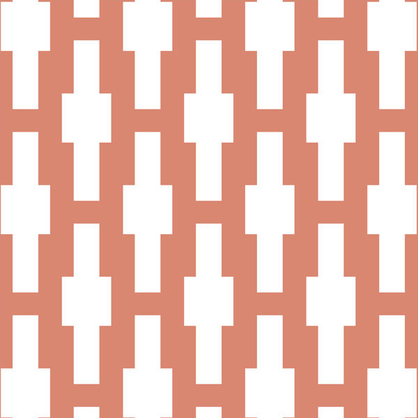 Crossroad in Desert Rose