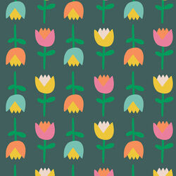 Tulip Toss in Evening