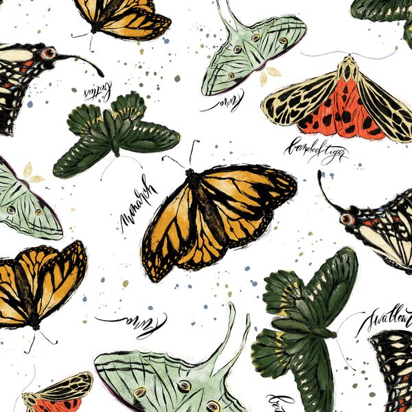Large Butterflies in Autumn Revival