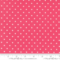 Cosmo Dot in Rosie